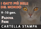 cartella stampa Padova 2016