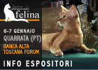 Expo felina di Quarrata (Pistoia) 2024 - le prime info per gli espositori