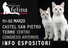 Expo felina della Bologna 2025 - le prime info per gli espositori