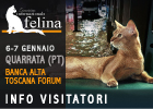 Expo felina di Quarrata (Pistoia) 2024 - le prime info per i visitatori