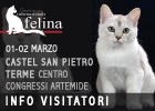 Expo felina della Bologna 2025 - le prime info per i visitatori