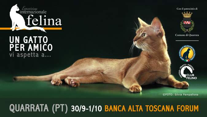 ESPOSIZIONE INTERNAZIONALE FELINA DI QUARRATA | 30 Settembre - 01 Ottobre 2023 - BANCA ALTA TOSCANA FORUM - Via IV Novembre 108 angolo Via Manzi - 51039 Quarrata (PT) - 30 Settembre - 01 Ottobre 2023 - apertura al pubblico ore 10:00 - 18:30