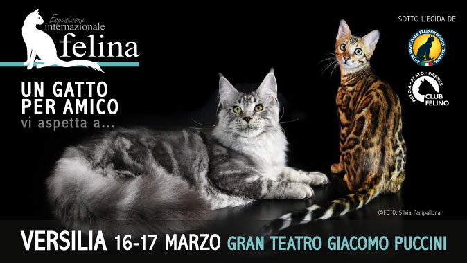 ESPOSIZIONE INTERNAZIONALE FELINA DI VERSILIA | 16-17 marzo 2024 - GRAN TEATRO GIACOMO PUCCINI - Via delle Torbiere, 55049 Torre del Lago Puccini - Viareggio (LU) - 16-17 marzo 2024 - apertura al pubblico ore 10:00 - 18:30