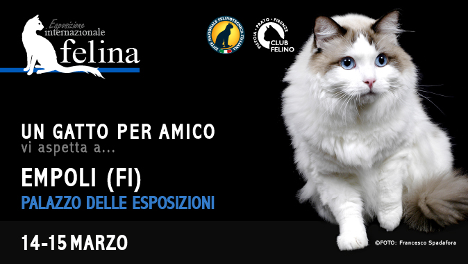 In arrivo l'esposizione felina di Empoli